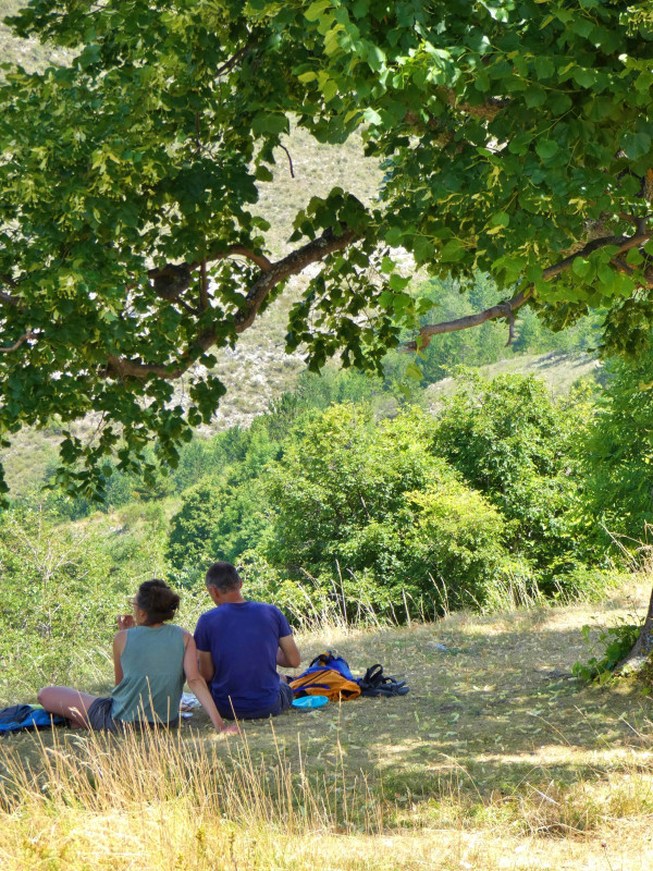 Initiation à la cueillette du tilleul - Les cueillettes de Marielle
